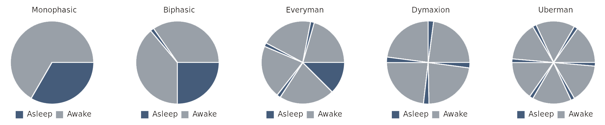 Polyphasic Sleep Patterns